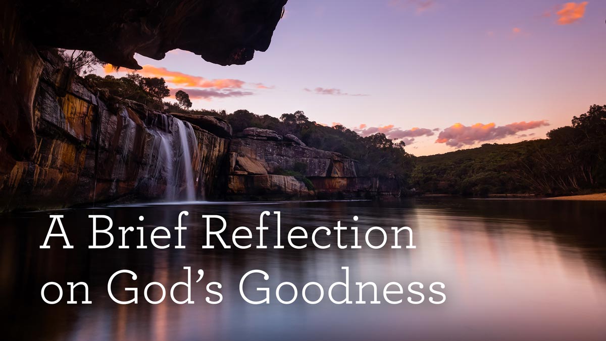 A Brief Reflection on God's Goodness