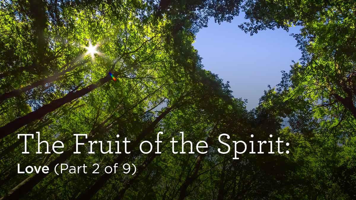 Fruit of the Spirit: Love