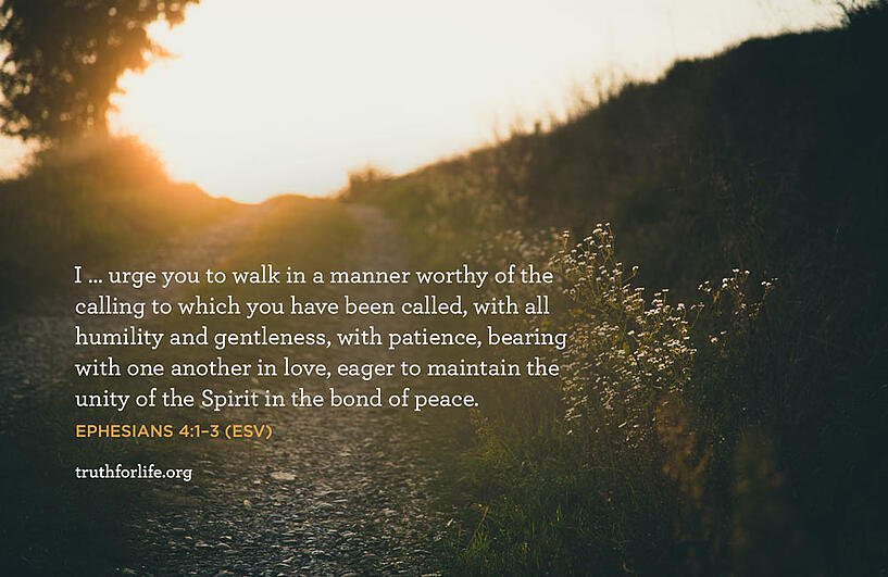 I … urge you to walk in a manner worthy of the calling to which you have been called, with all humility and gentleness, with patience, bearing with one another in love, eager to maintain the unity of the Spirit in the bond of peace. - Ephesians 4:1–3