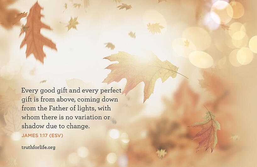 Every good gift and every perfect gift is from above, coming down from the Father of lights, with whom there is no variation or shadow due to change. - James 1:17