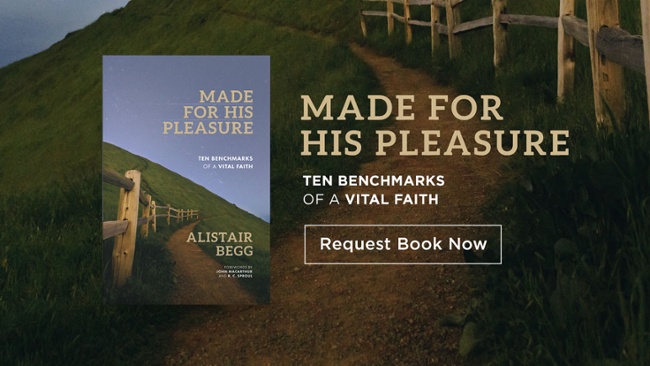 Made for His Pleasure