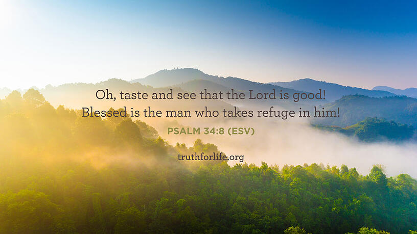 Oh, taste and see that the Lord is good! Blessed is the man who takes refuge in him! - Psalm 34:8 ESV