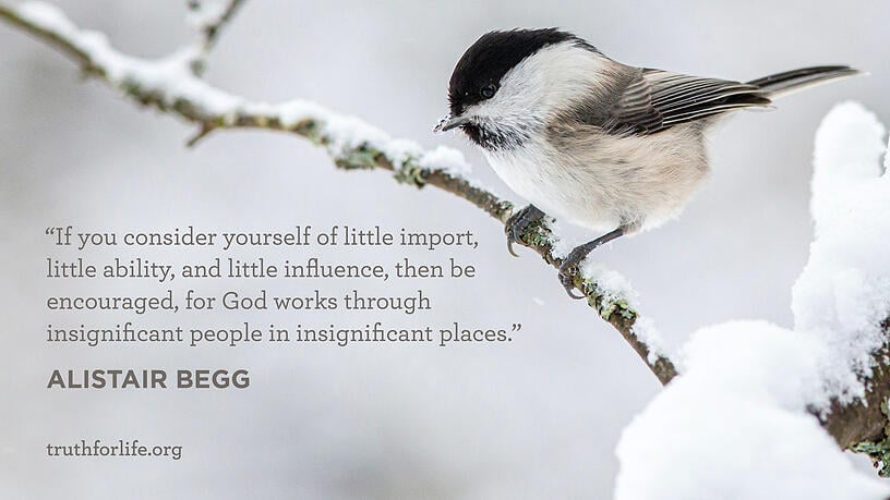 If you consider yourself of little import, little ability, and little influence, then be encouraged, for God works through insignificant people in insignificant places. - Alistair Begg