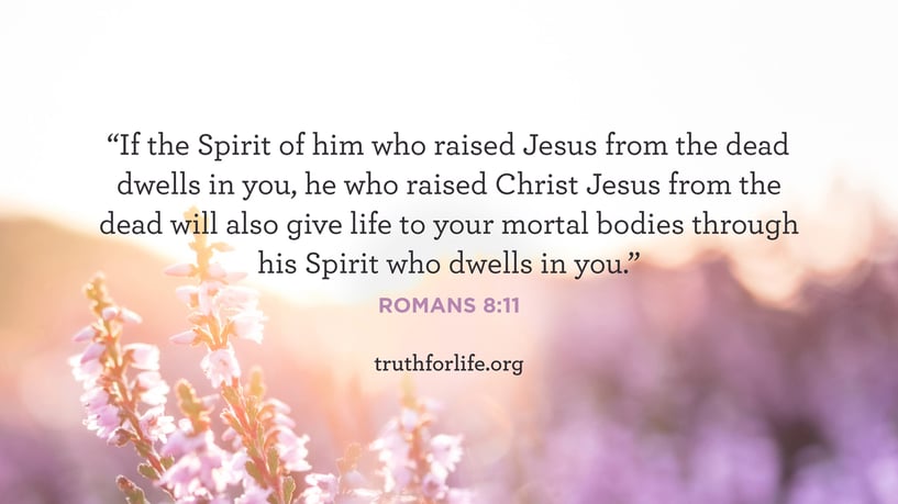 If the Spirit of him who raised Jesus from the dead dwells in you, he who raised Christ Jesus from the dead will also give life to your mortal bodies through his Spirit who dwells in you. - Romans 8:11