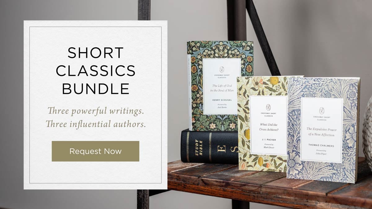 Short Classic Bundle