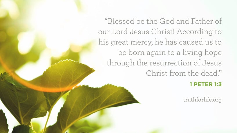 Blessed be the God and Father of our Lord Jesus Christ! According to his great mercy, he has caused us to be born again to a living hope through the resurrection of Jesus Christ from the dead. - 1 Peter 1:3