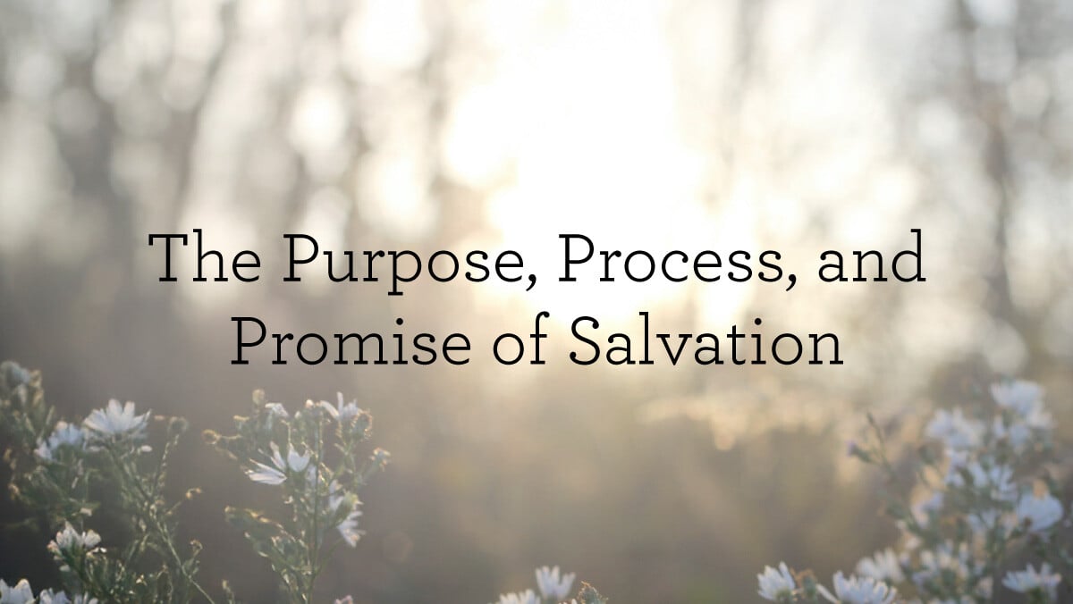 ThePurposeProcessandPromiseOfSalvation_BlogHeader_12.03