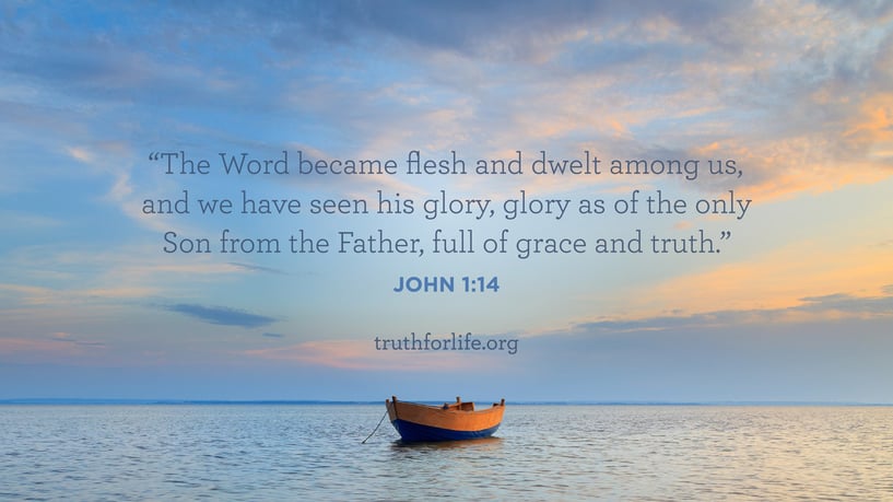 The Word became flesh and dwelt among us, and we have seen his glory, glory as of the only Son from the Father, full of grace and truth. - John 1:14