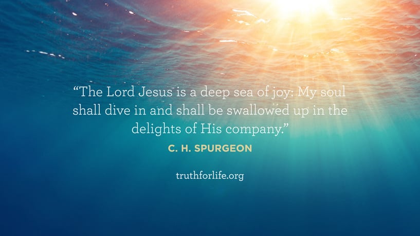 The Lord Jesus is a deep sea of joy: My soul shall dive in and shall be swallowed up in the delights of His company. - C.H. Spurgeon